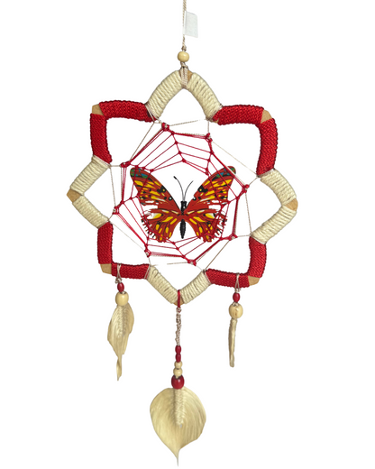 🦋 Mariposa Flor de Loto