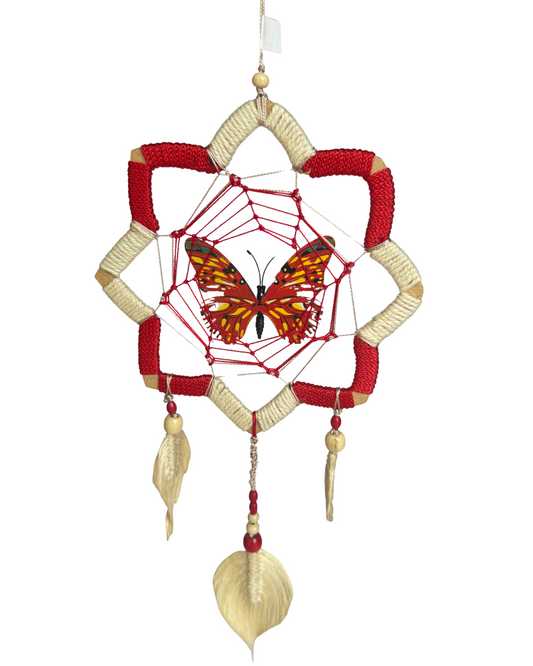 🦋 Mariposa Flor de Loto