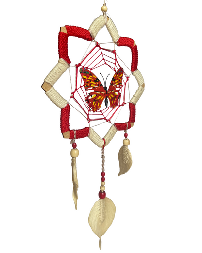 🦋 Mariposa Flor de Loto