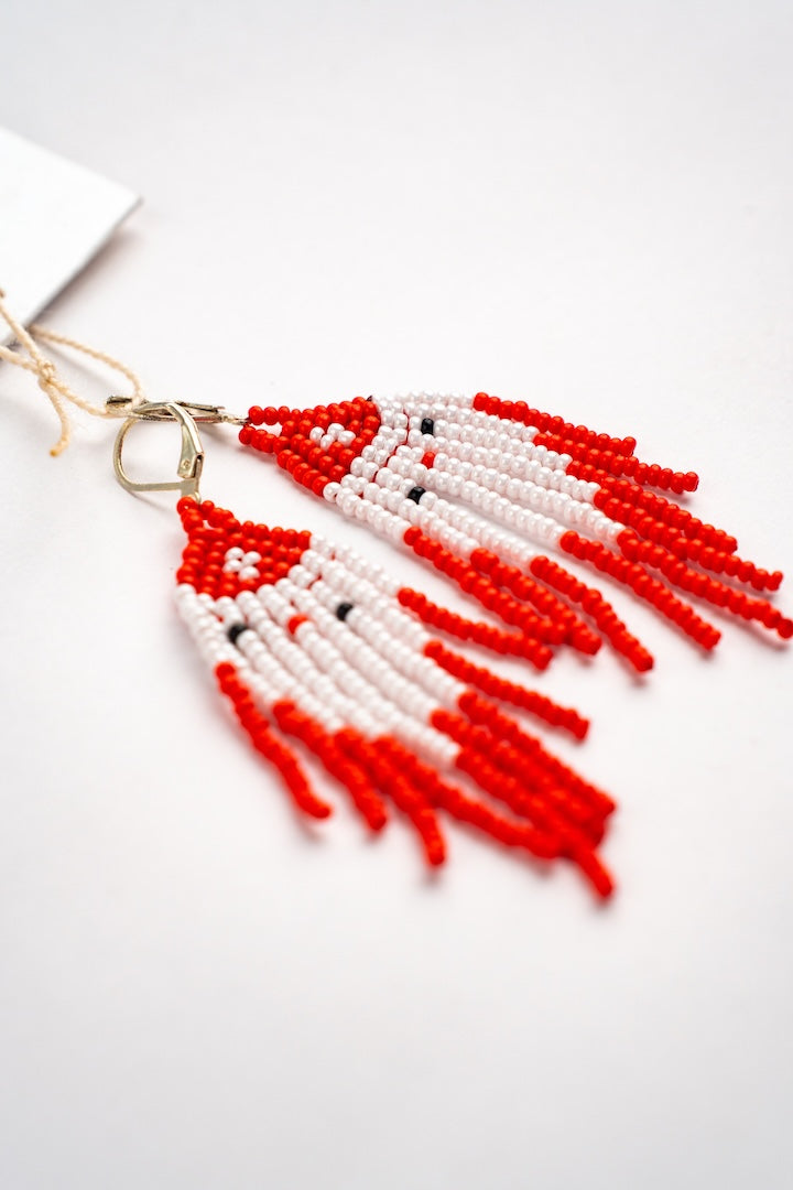 Aretes Fuego y Nieve