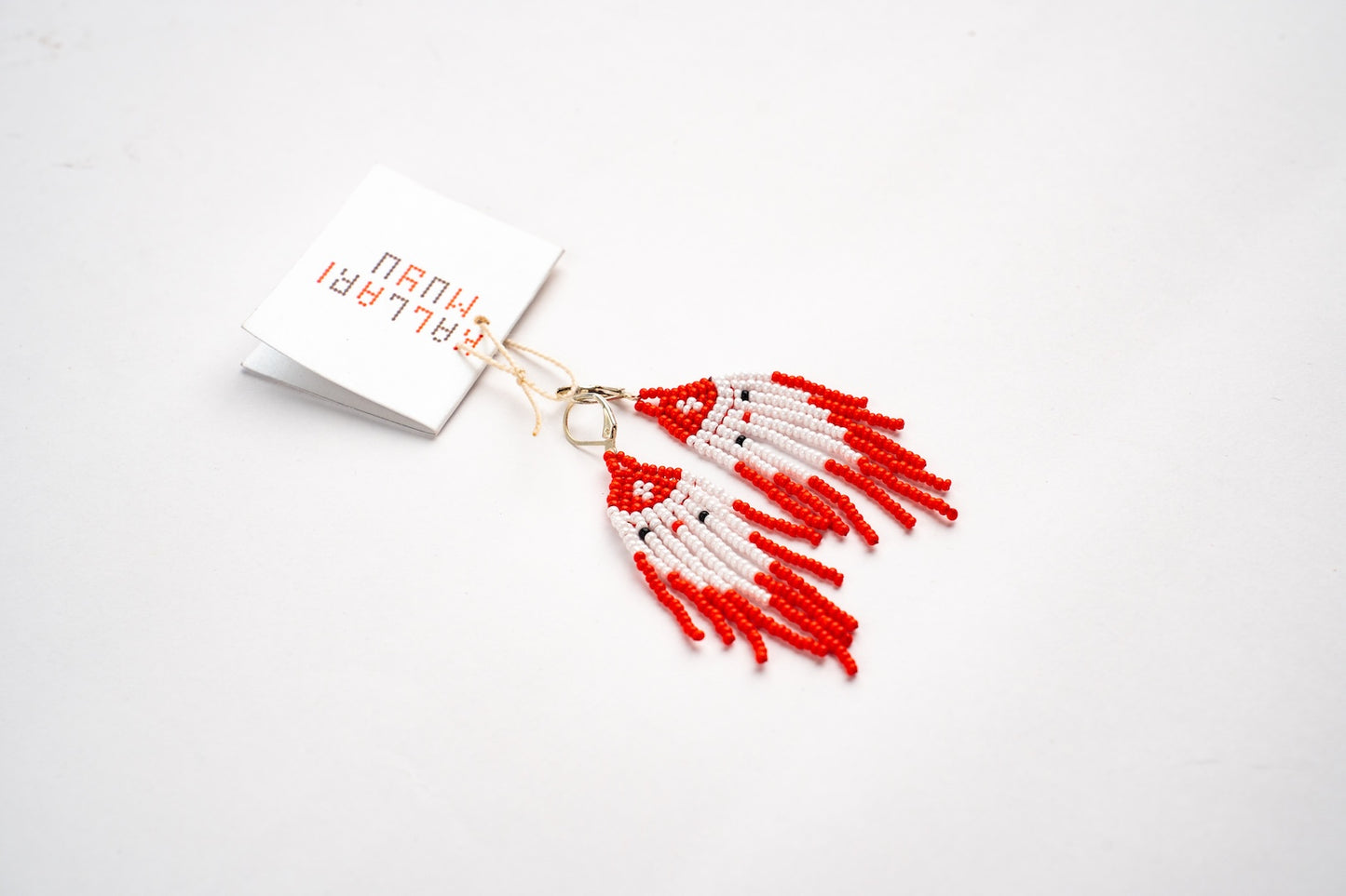 Aretes Fuego y Nieve