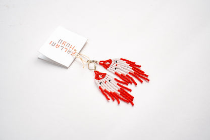 Aretes Fuego y Nieve