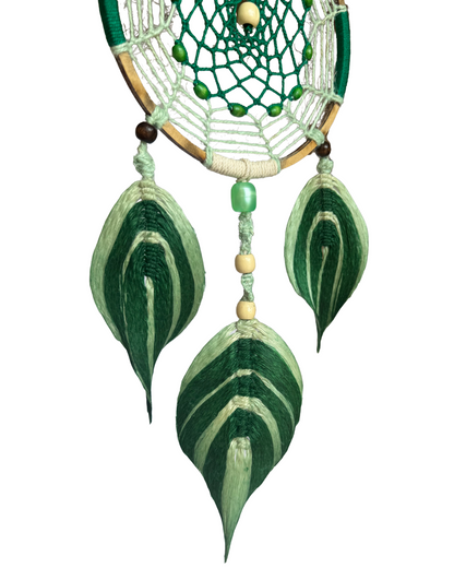 ✨ Atrapasueños - Sueños Amazónicos