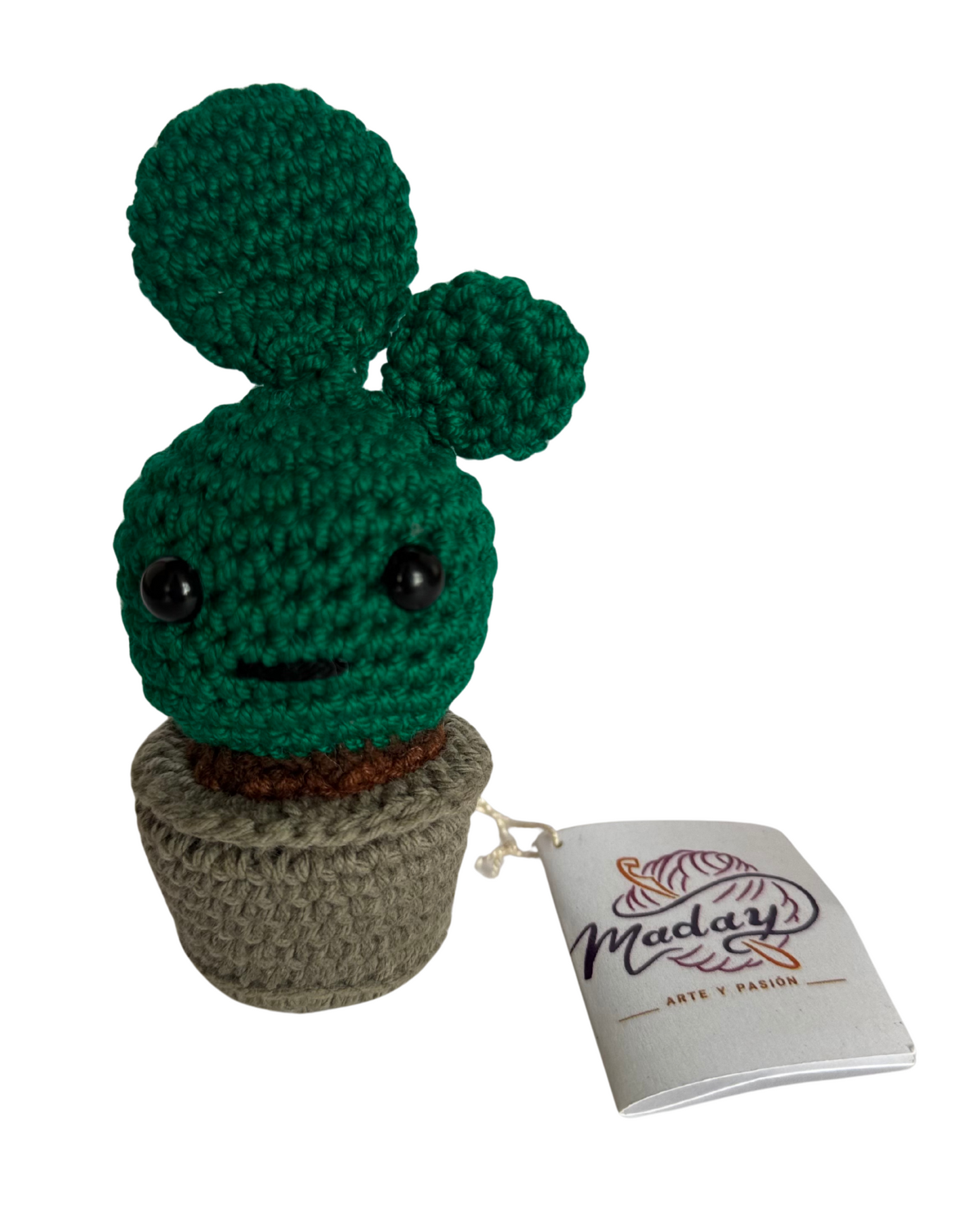 “Cactus Pepe Amazónico”