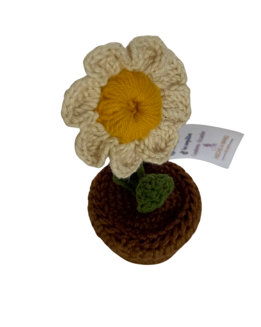 Flor, Alegría de mis Ojos