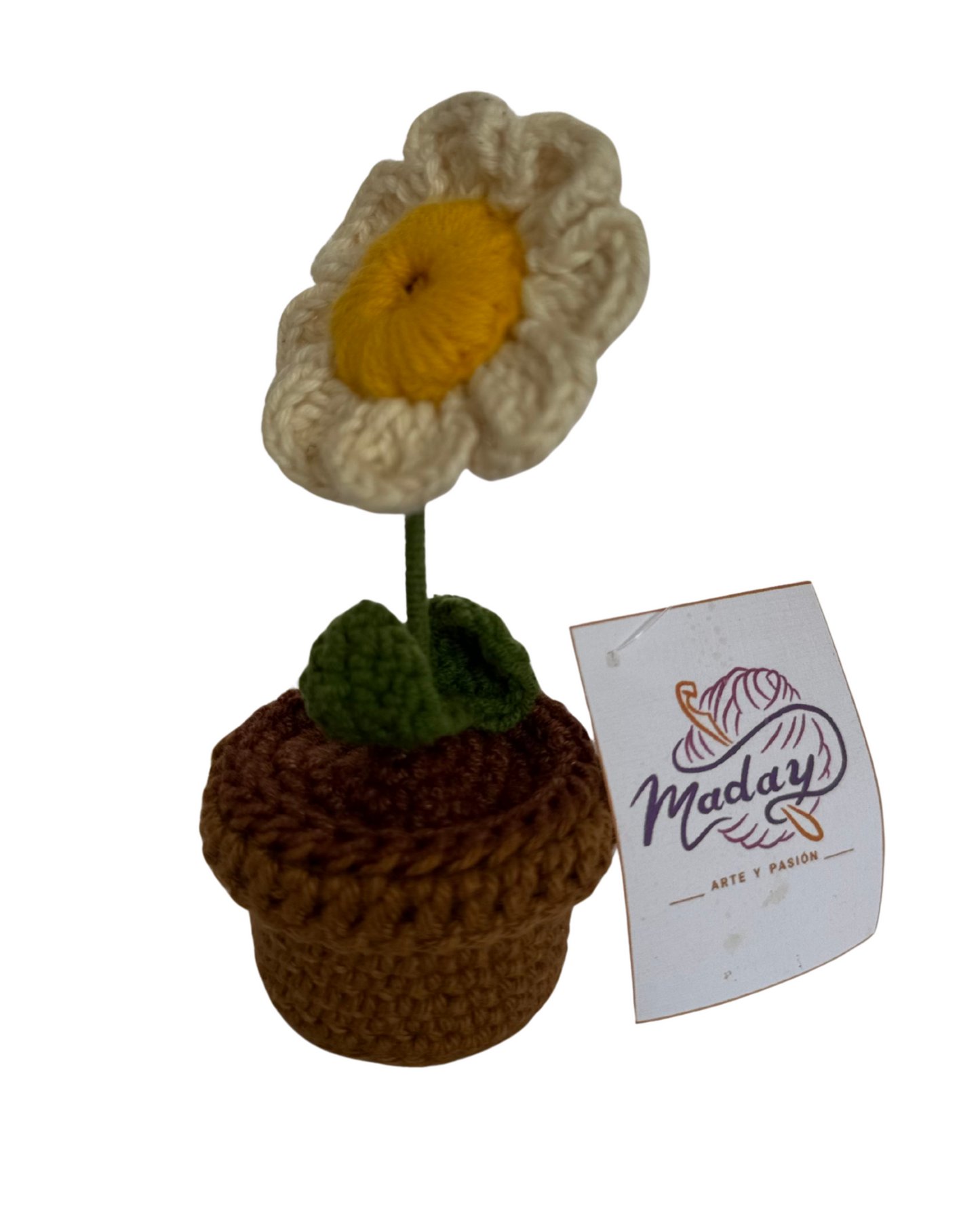 Flor, Alegría de mis Ojos