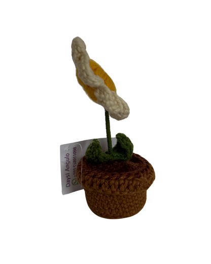 Flor, Alegría de mis Ojos