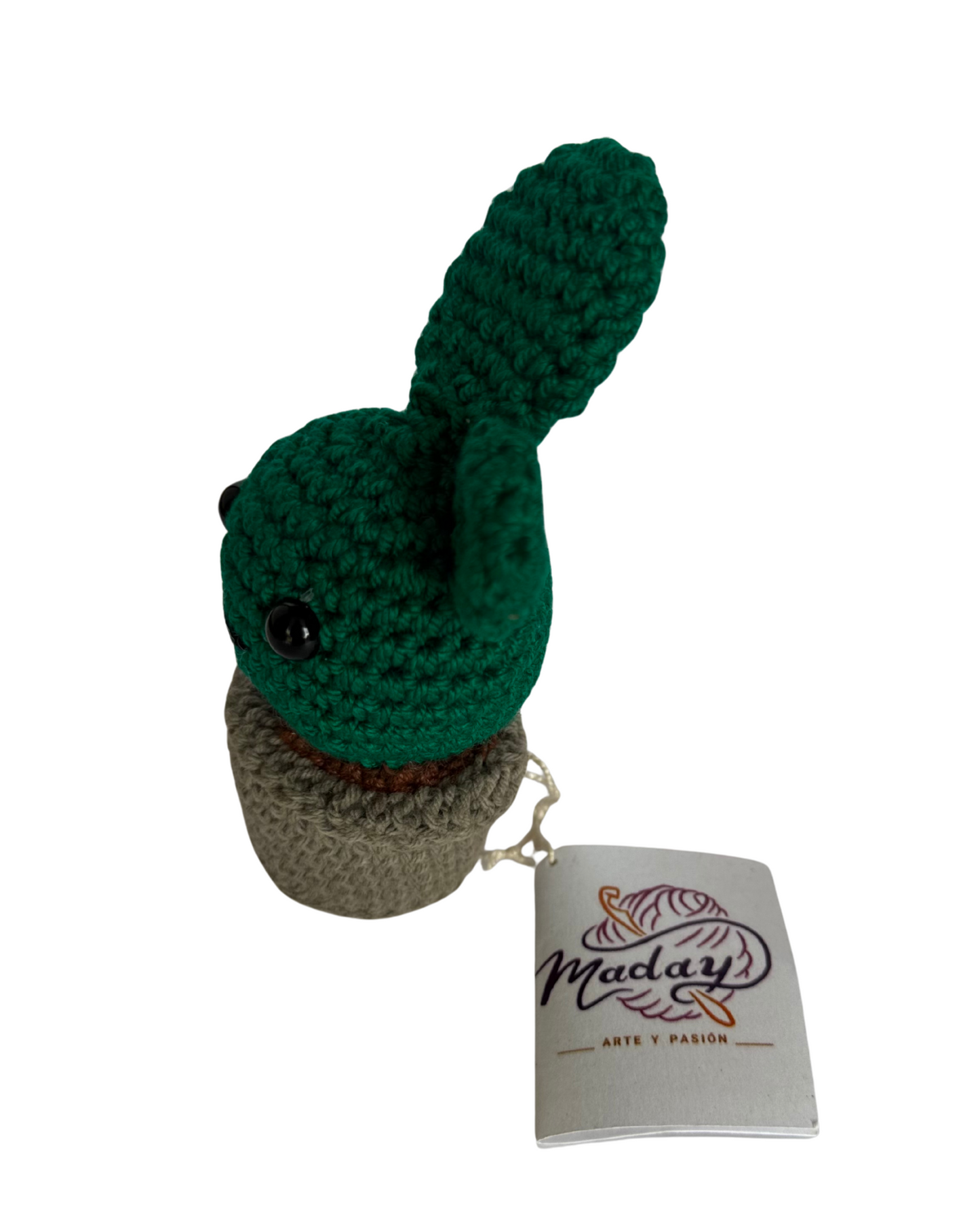 “Cactus Pepe Amazónico”