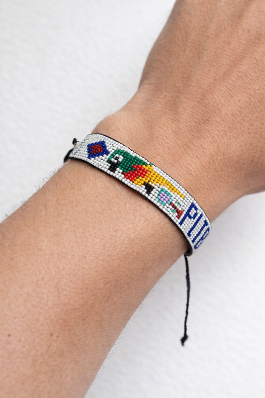 Manilla Guacamayo Cantor